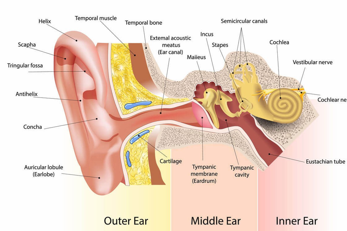 Ear pain health information