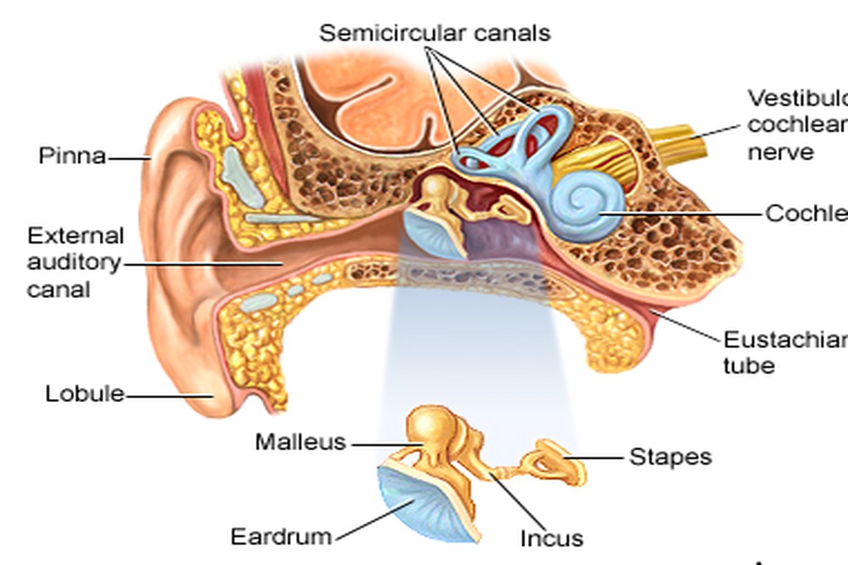 Ear Pain After Swimming