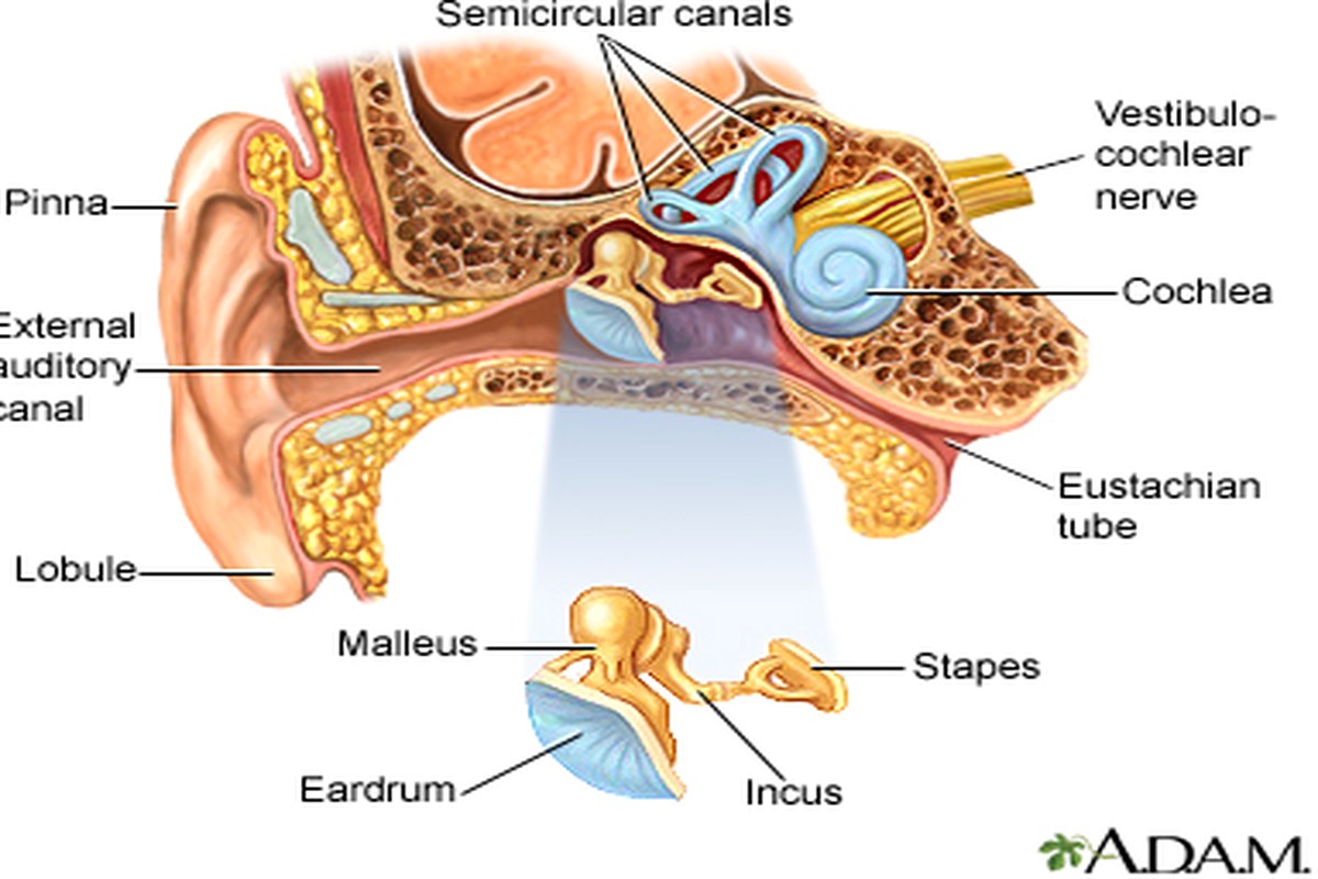 Ear Pressure ear health information
