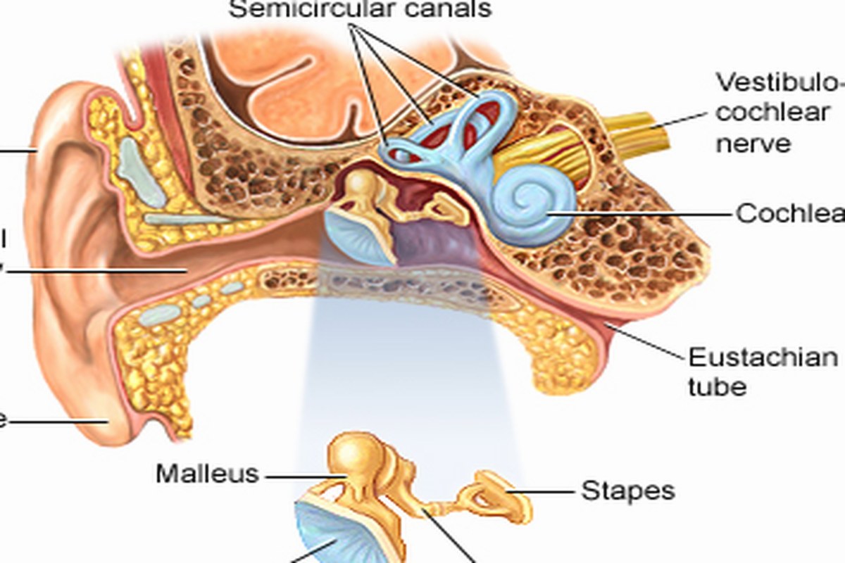 Ear Pain At Night Everyday Checklist ear health information
