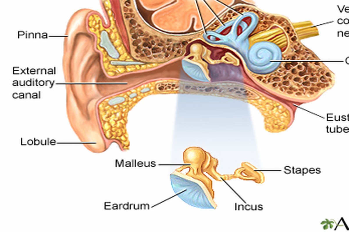 One Sided Ear Pain Practical Tips ear health information