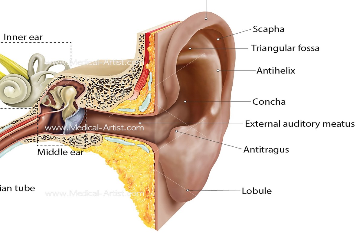 One Sided Ear Pain What To Know ear health information